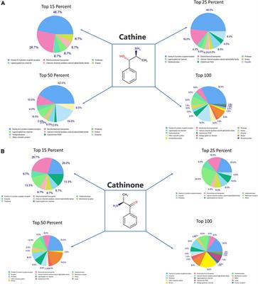 Unraveling the Catha edulis Extract Effects on the Cellular and Molecular Signaling in SKOV3 Cells